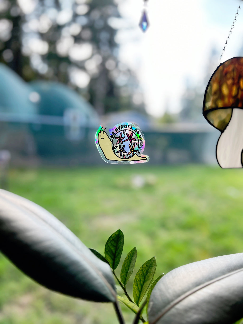 No Hurries, No Worries Snail Rainbow Sun Catcher