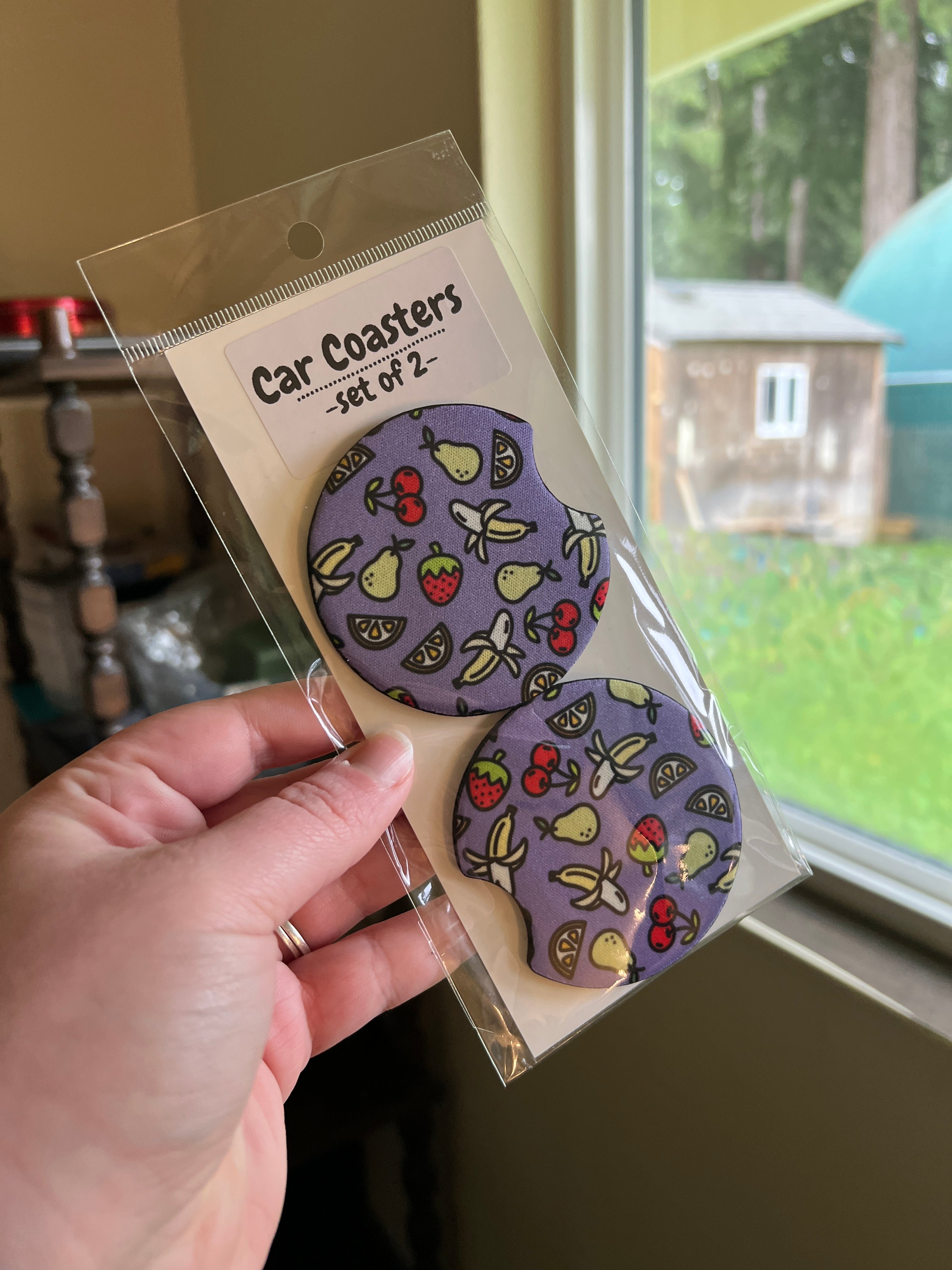 Fruit Salad Car Coasters