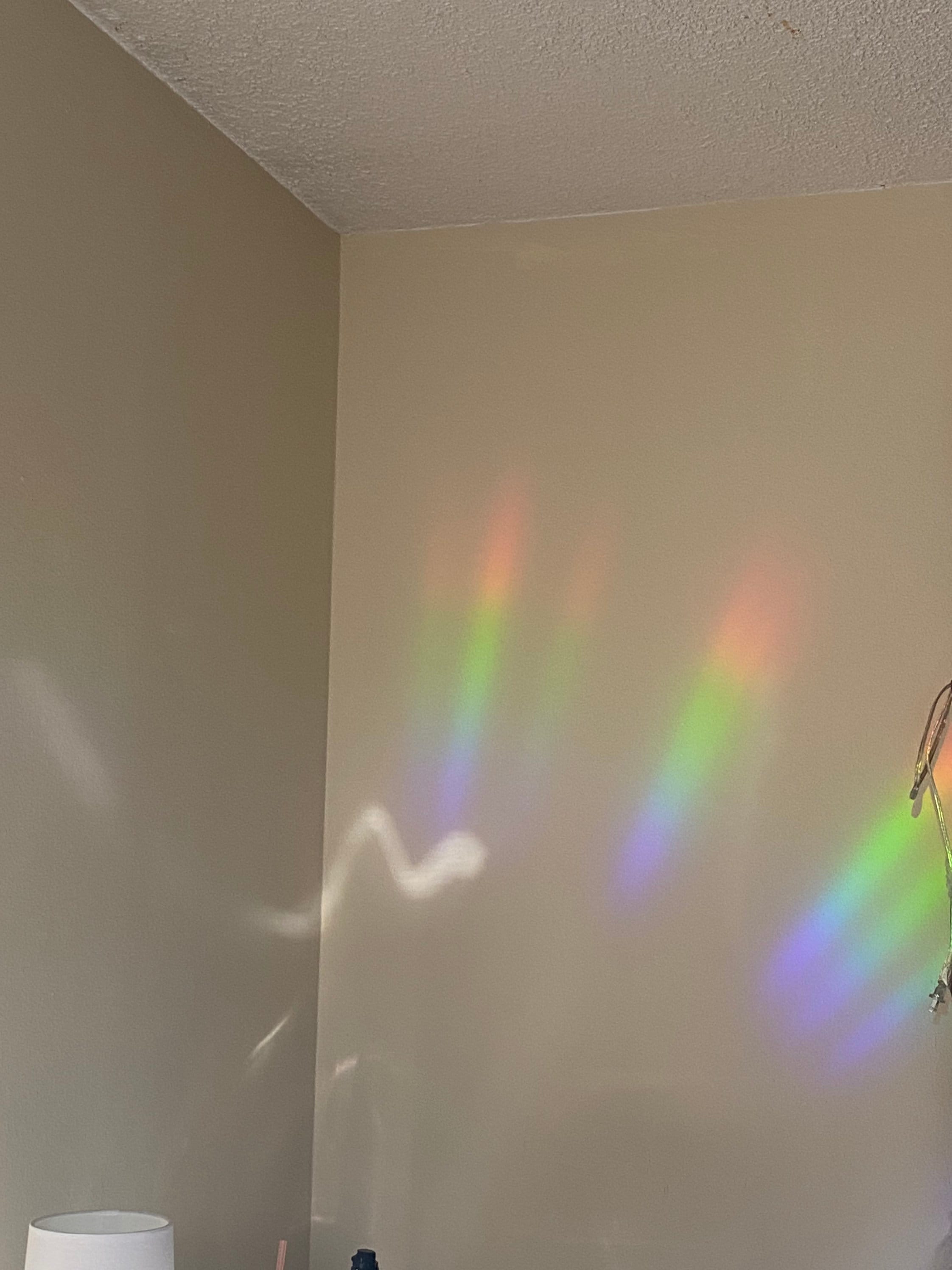 Always Getting Stuck In Your Own Head Sun Catcher